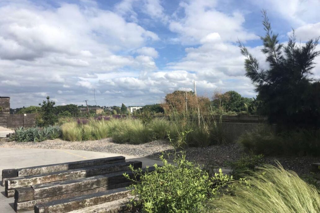 The Derek Jarman Garden