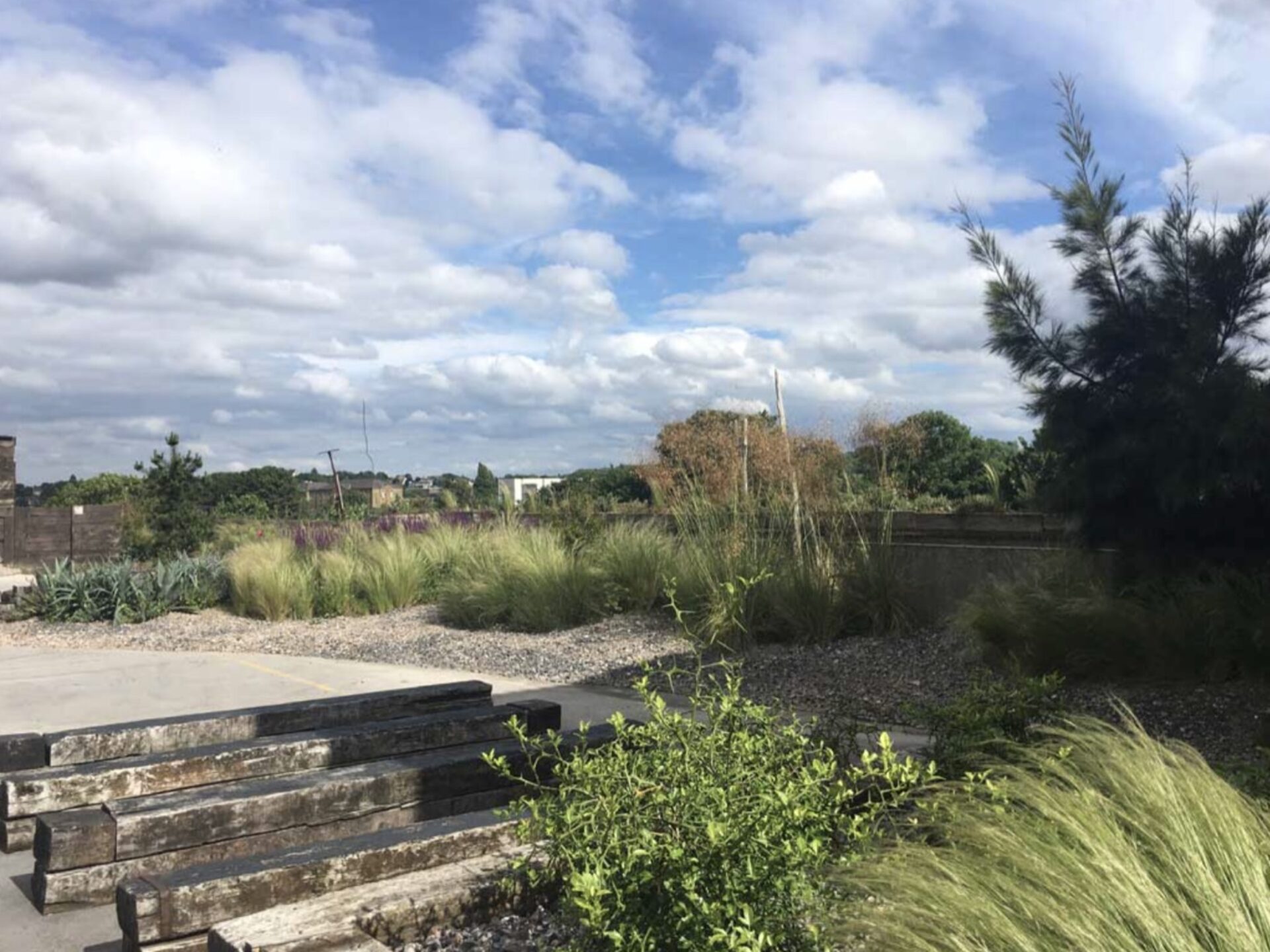The Derek Jarman Garden